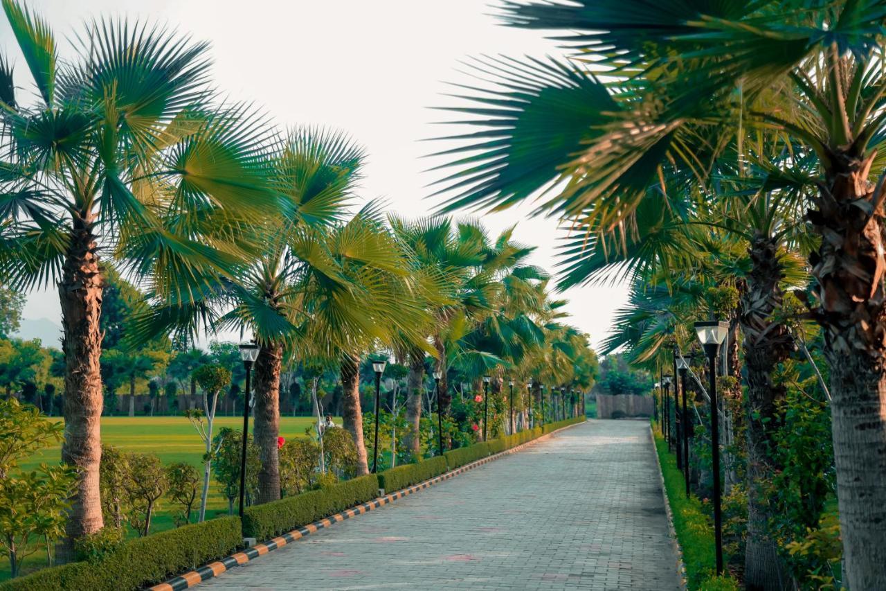 Pride Resort & Convention Center Ranakpur Near Ranakpur Dam Sadri Екстер'єр фото